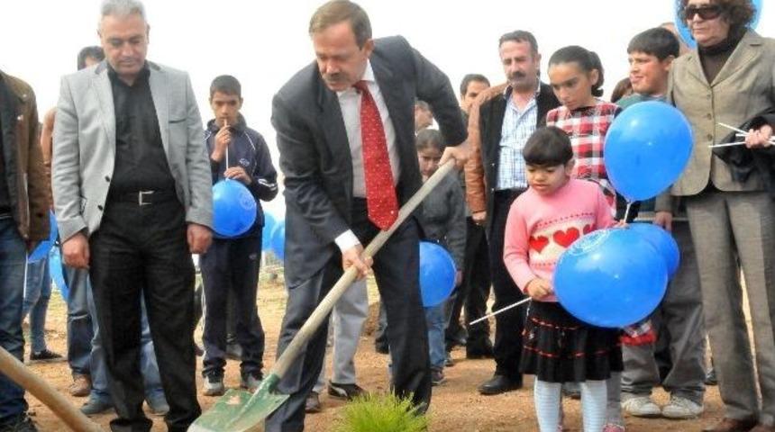 Akdeniz&rsquo;de Kadınlar Fidan Dikti