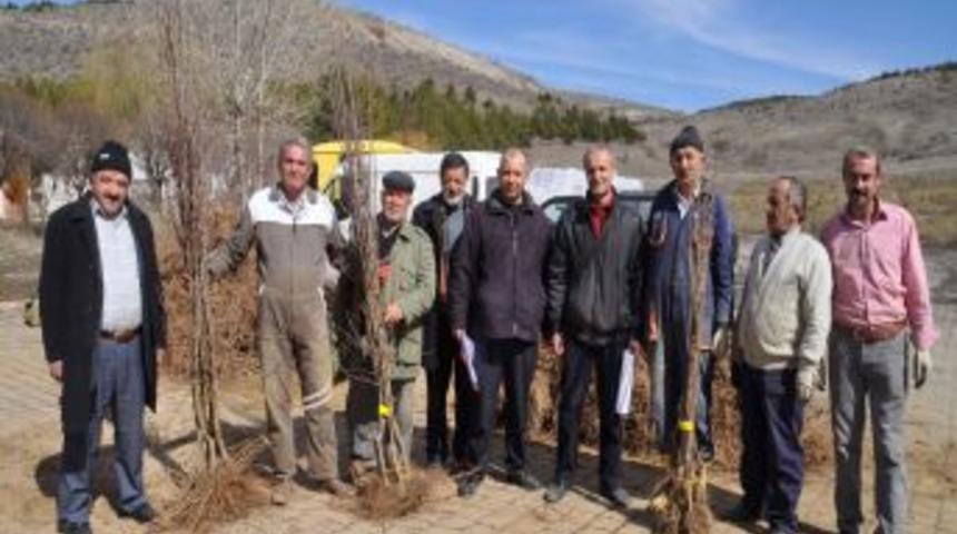 Yozgat&rsquo;ta &Ccedil;ift&ccedil;ilere 82 Bin Meyve Fidanı Dağıtıldı