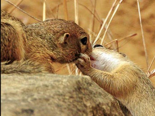 Aşkın en  doğal  hali 1