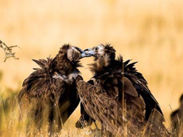 Aşkın en  doğal  hali 2