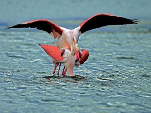 Aşkın en  doğal  hali 3