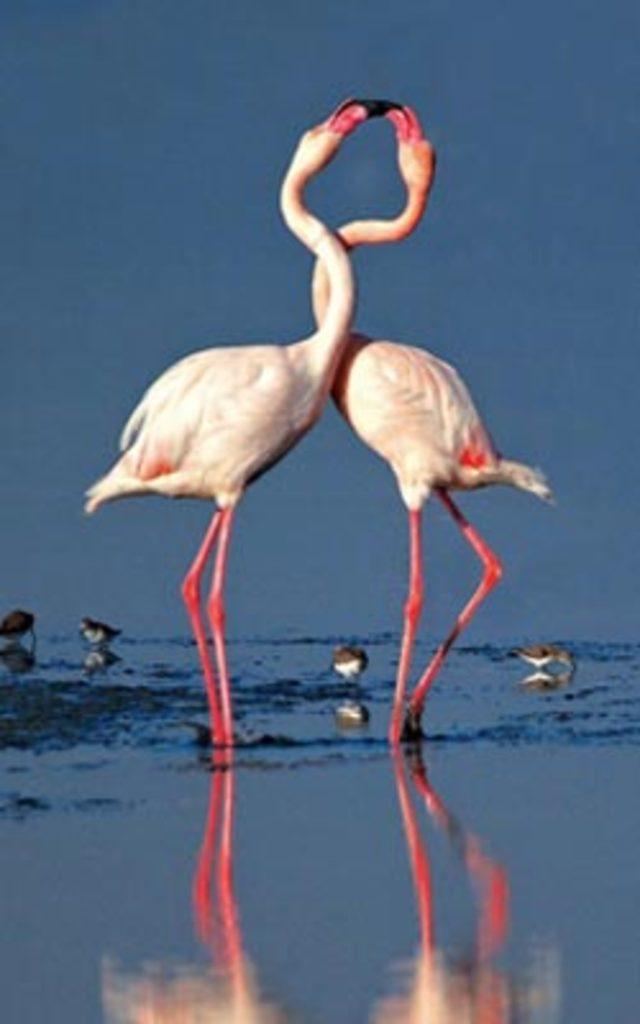 Aşkın en  doğal  hali 4