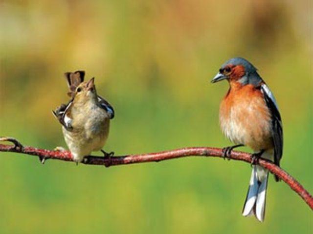 Aşkın en  doğal  hali 5