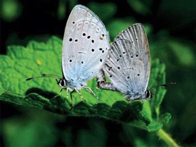 Aşkın en  doğal  hali 6