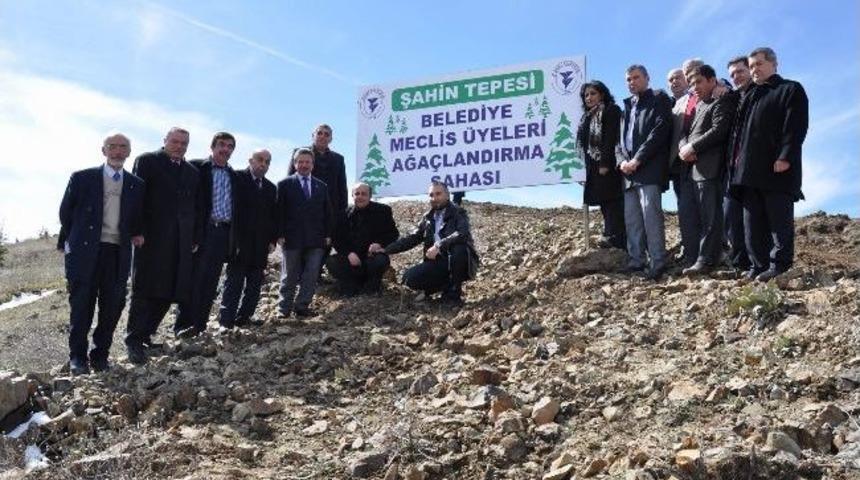 Yozgat Belediye Meclis Üyeleri Fidan Dikti