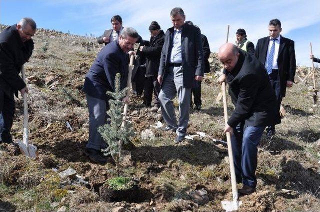 Yozgat Belediye Meclis Üyeleri Fidan Dikti