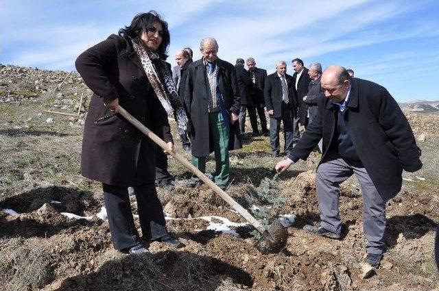 Yozgat Belediye Meclis Üyeleri Fidan Dikti