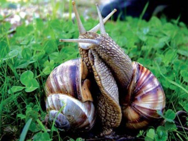 Aşkın en  doğal  hali 7