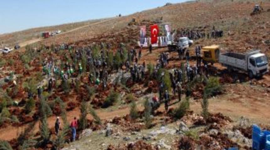 Cumhurbaşkanı G&uuml;l&rsquo;&uuml;n Ziyareti Anısına Hatıra Ormanı