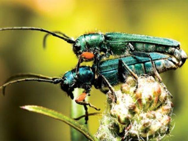 Aşkın en  doğal  hali 8