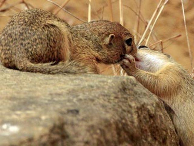 Aşkın en  doğal  hali 9