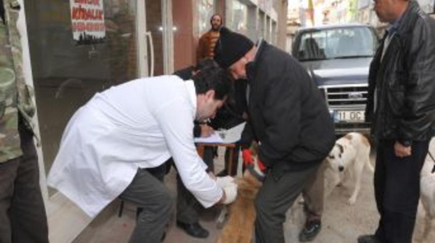 K&ouml;peklere &Uuml;cretsiz Kuduz Aşısı