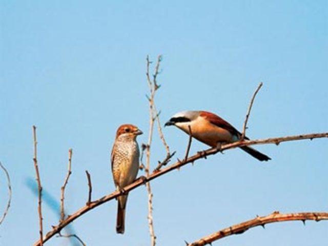 Aşkın en  doğal  hali 11