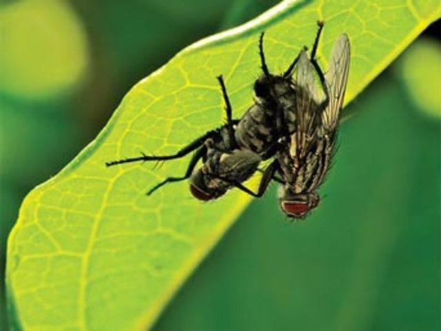 Aşkın en  doğal  hali 12