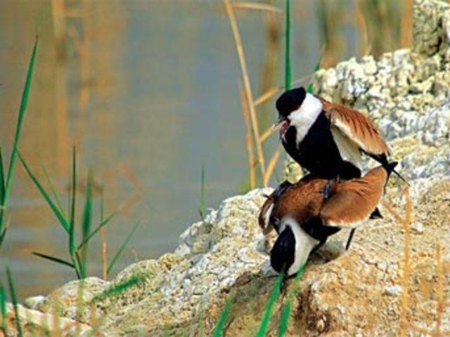 Aşkın en  doğal  hali 15