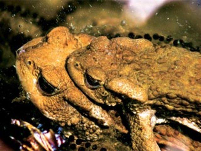 Aşkın en  doğal  hali 16