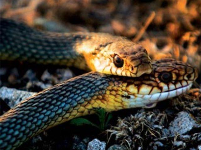 Aşkın en  doğal  hali 17