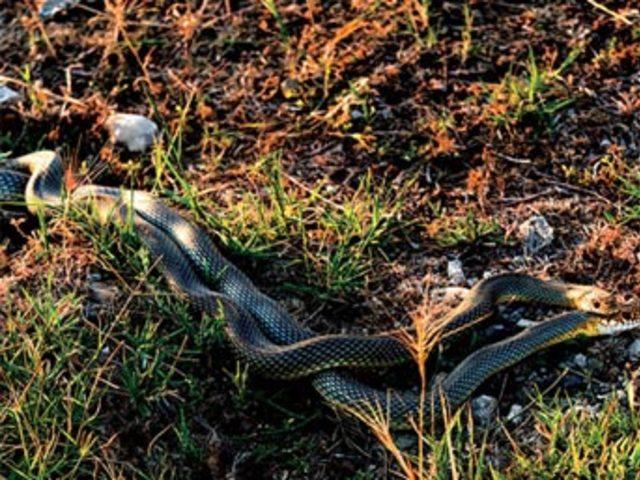 Aşkın en  doğal  hali 18