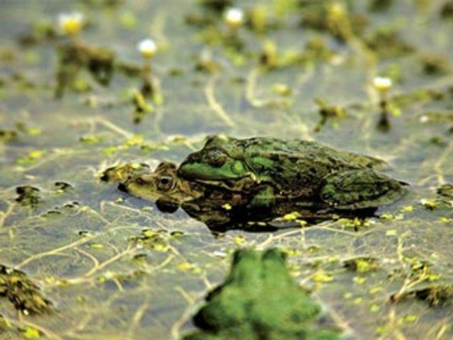 Aşkın en  doğal  hali 19