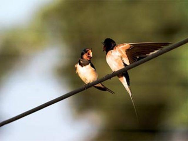 Aşkın en  doğal  hali 20