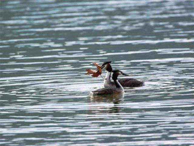 Aşkın en  doğal  hali 21
