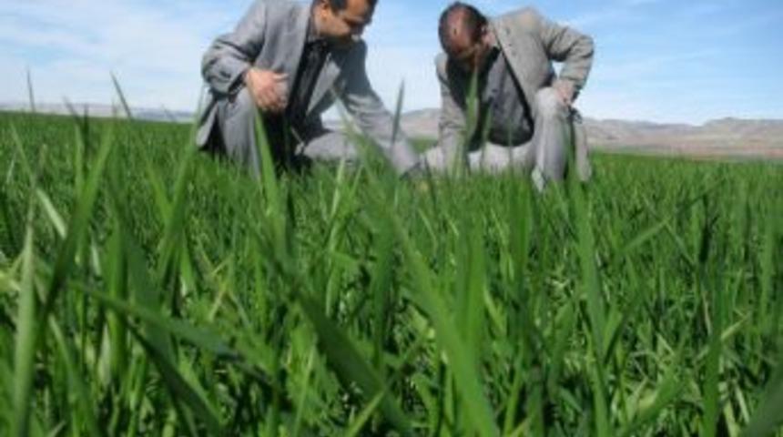 Yağmur Arabanlı &Ccedil;ift&ccedil;ilerin Y&uuml;z&uuml;n&uuml; G&uuml;ld&uuml;rd&uuml;