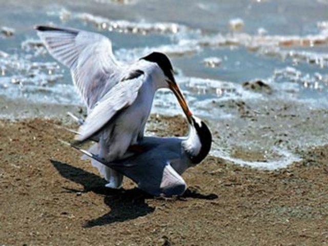 Aşkın en  doğal  hali 23