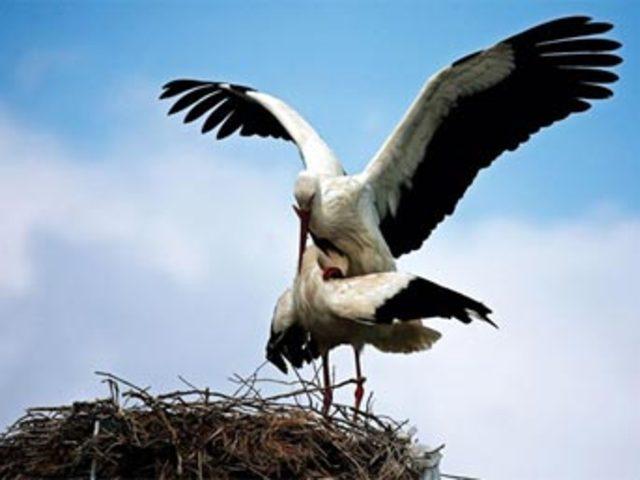 Aşkın en  doğal  hali 24