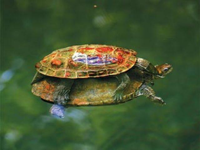 Aşkın en  doğal  hali 25