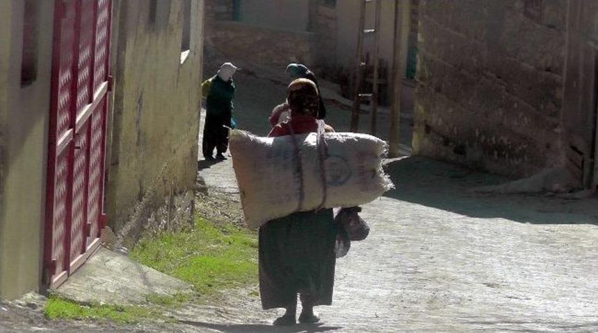 Anadolu’nun Çilekeş Kadınının Omuzunda Yük Hiç Eksik Olmuyor