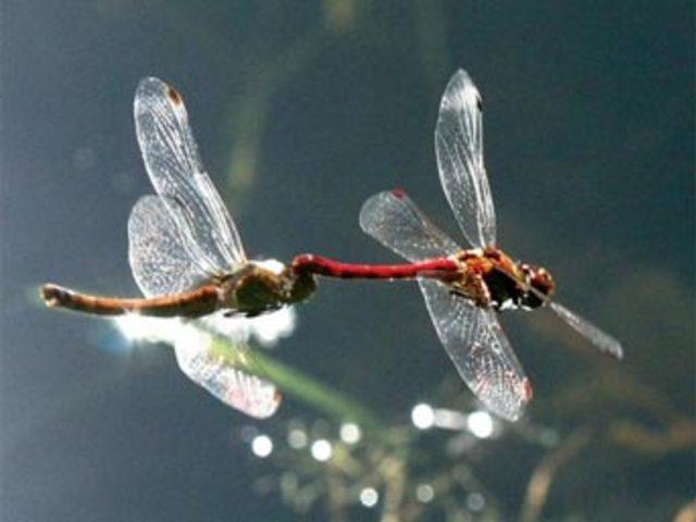 Aşkın en  doğal  hali 27