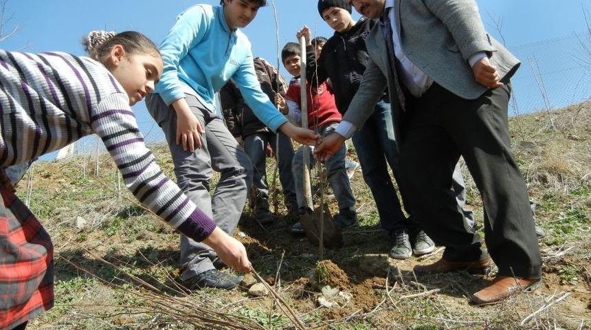 G&uuml;zide Hanım Koleji, Kardeş Okul Kazım Karabekir İlkokulu Ile Ağa&ccedil; Dikti