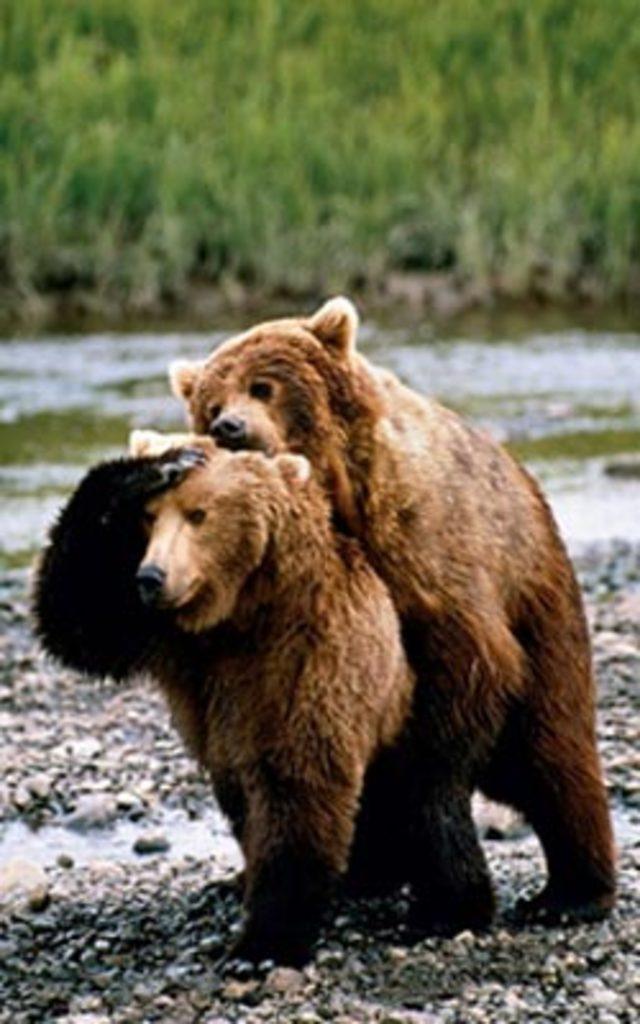 Aşkın en  doğal  hali 28