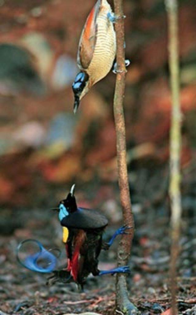 Aşkın en  doğal  hali 29