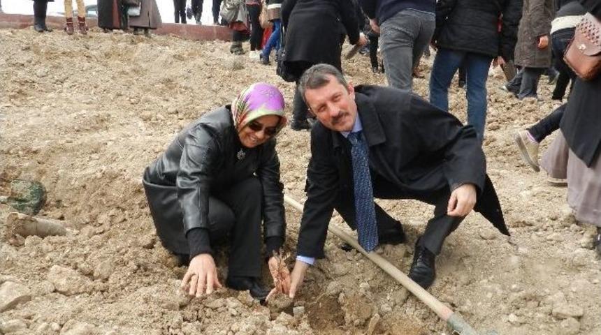 Kadınlardan Mak&uuml;&rsquo;ye Bin Meşe Palamudu