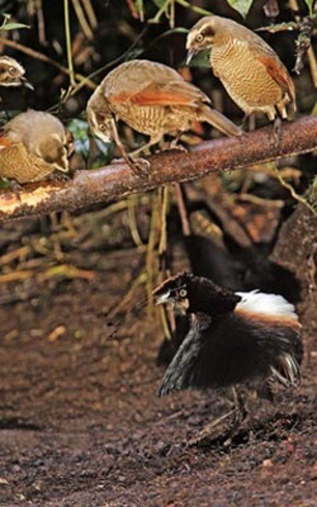 Aşkın en  doğal  hali 30