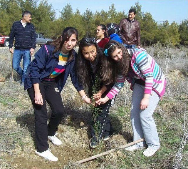 Lisesi Öğrencilerinden Hatıra Ormanı