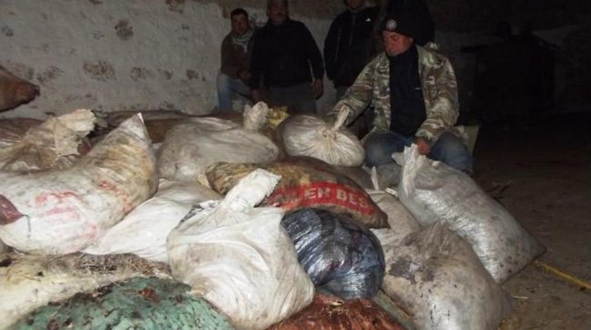 Ayvalık'ta Başak Zeytincisine Şafak Operasyonu