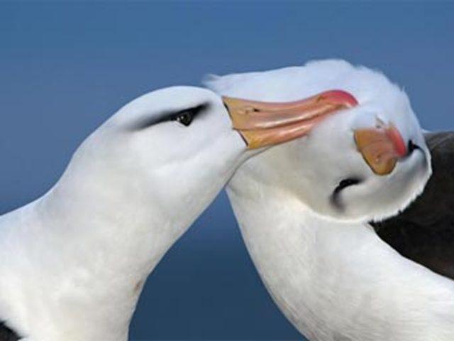 Aşkın en  doğal  hali 31