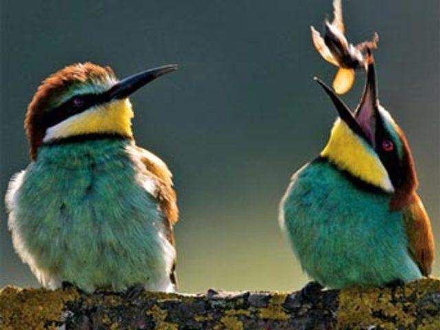 Aşkın en  doğal  hali 33