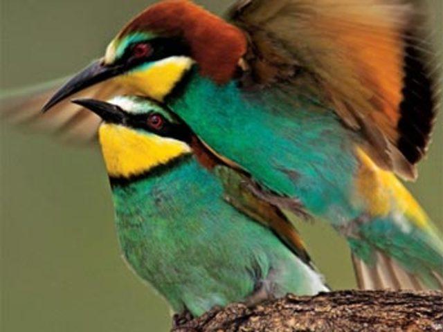 Aşkın en  doğal  hali 34