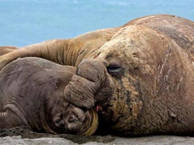 Aşkın en  doğal  hali 35