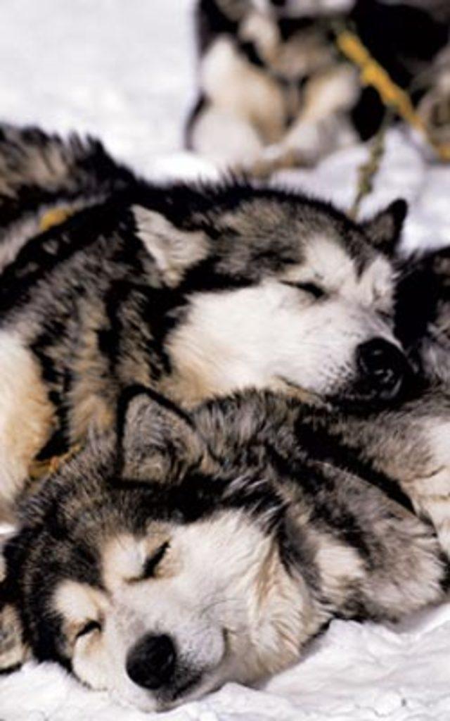 Aşkın en  doğal  hali 36