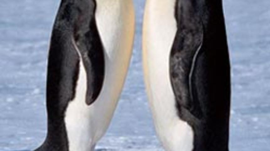 Aşkın en 'doğal' hali