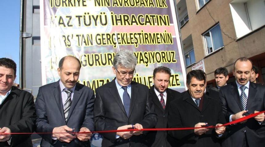 Beyaz Altın Kaz T&uuml;y&uuml;n&uuml;n Avrupa&rsquo;ya Ilk Ihracatı Ger&ccedil;ekleştirildi