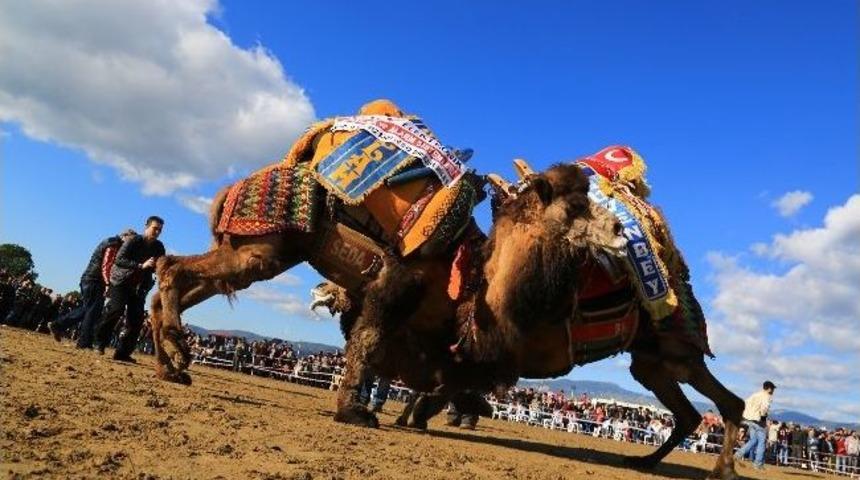 &Uuml;nl&uuml; Develer Milas Arenasında G&uuml;reşecek