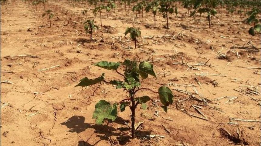 Su İ&ccedil;in B&uuml;y&uuml;k Buluşma G&uuml;n Sayıyor