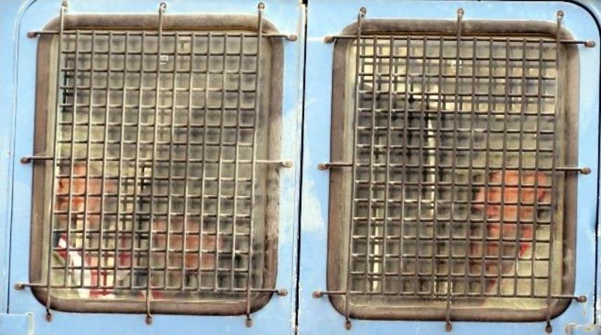 Zirve Davasının 61. Duruşması S&uuml;r&uuml;yor