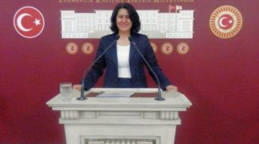 Chp Manisa Milletvekili Sakine &Ouml;z:
