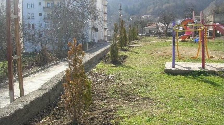 K&uuml;re Belediyesi&rsquo;nden Ağa&ccedil;landırma &Ccedil;alışması